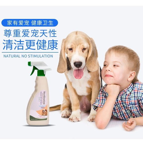 宠物环境消毒，如何确保宠物安全无忧？