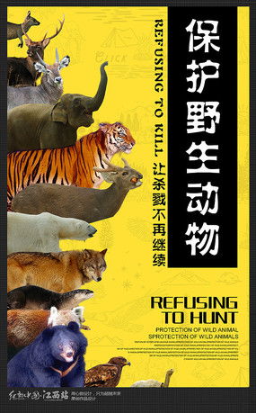 成龙：爱护动物，但为何他反对宠物表演？