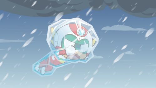 柯基心愿达成，笑迎每一天，完美无憾！