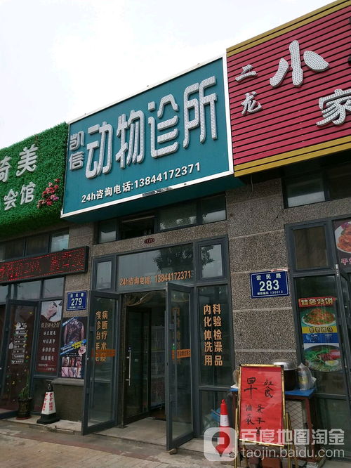 鸠江区宠物诊所哪家口碑好？