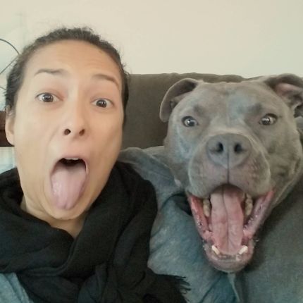 狗狗打哈欠的，你get了吗？