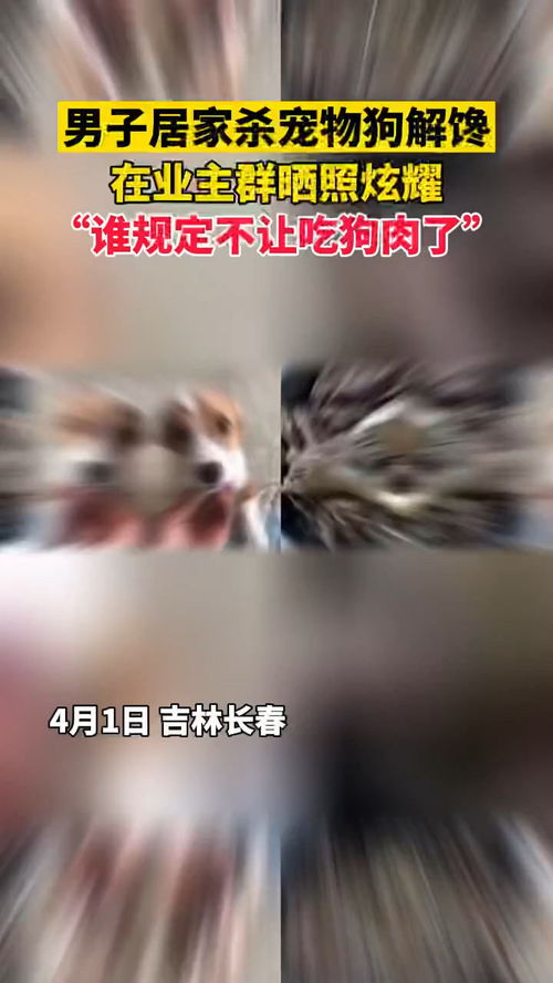 业主将宠物狗狗吃掉，这究竟是怎么回事？