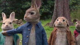 萌宠大作战，谁将笑到最后？