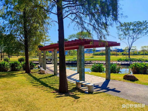 广州哪些公园适合遛宠物？