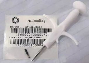 宠物狗芯片，芯片信息如何查询？