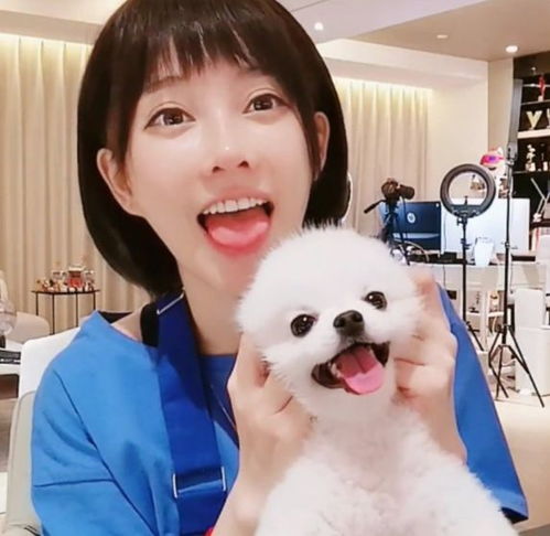 养什么宠物可以互动，狗狗能和我一起玩什么游戏？