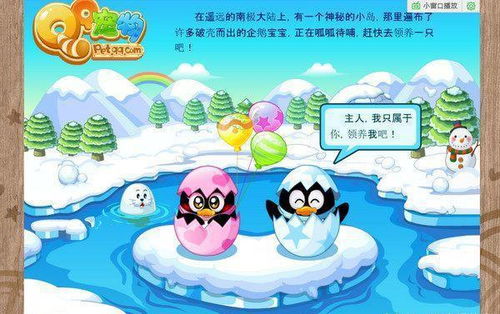 宠物天堂，永恒的家？你准备好为它留下什么回忆了吗？