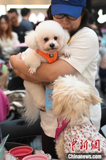 男生养宠物，爱心何在？