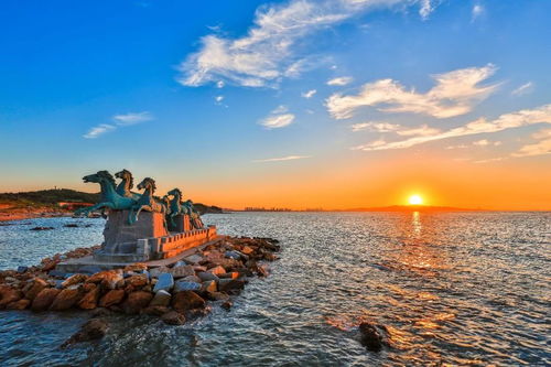 蓝天白云下，萌宠悠闲漫步，它要去哪里探险呢？