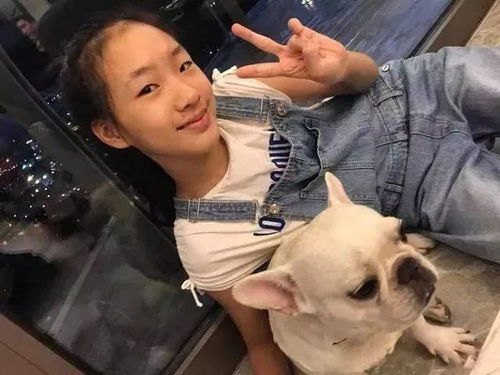 本特利宠物狗合照，萌宠双胞胎，它们是谁的孩子？