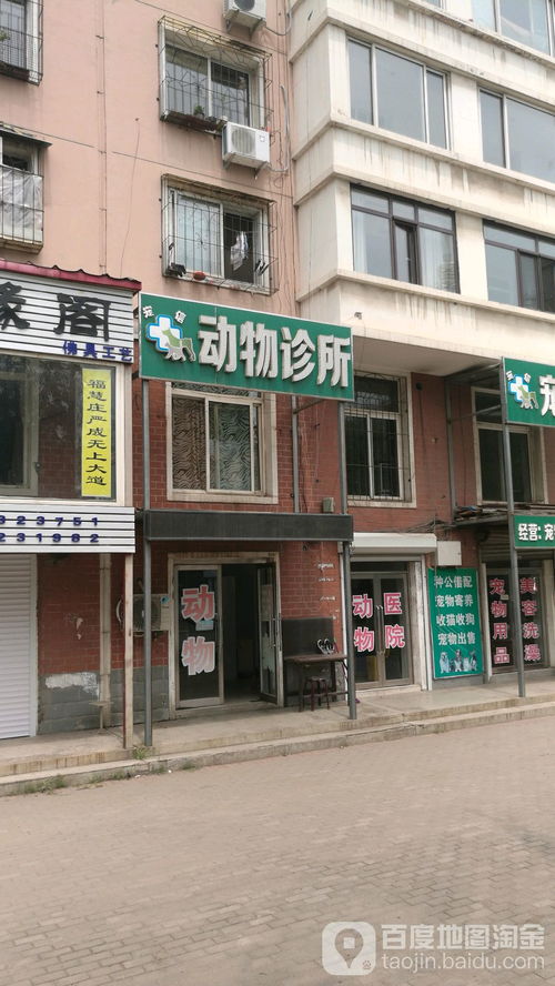 鸠江区宠物诊所哪家口碑好？